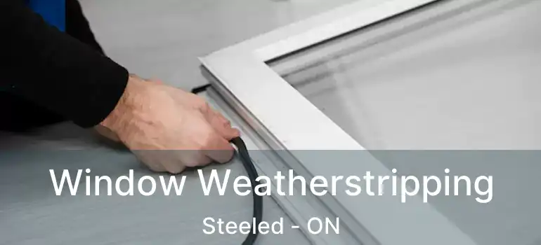  Window Weatherstripping Steeled - ON