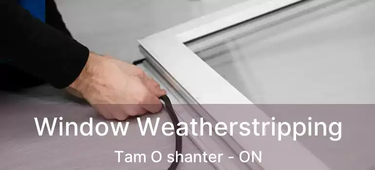 Window Weatherstripping Tam O shanter - ON
