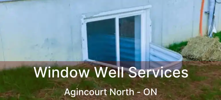  Window Well Services Agincourt North - ON