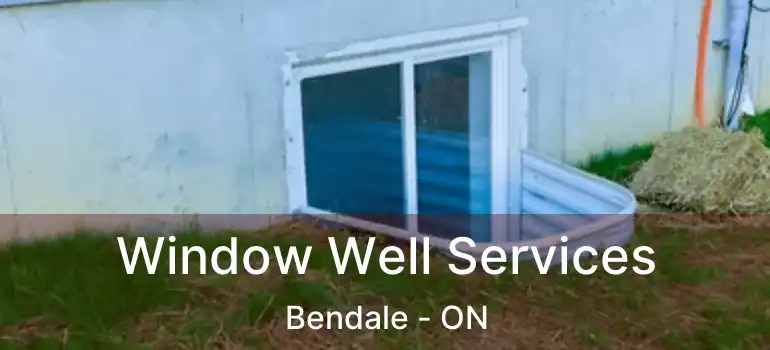  Window Well Services Bendale - ON