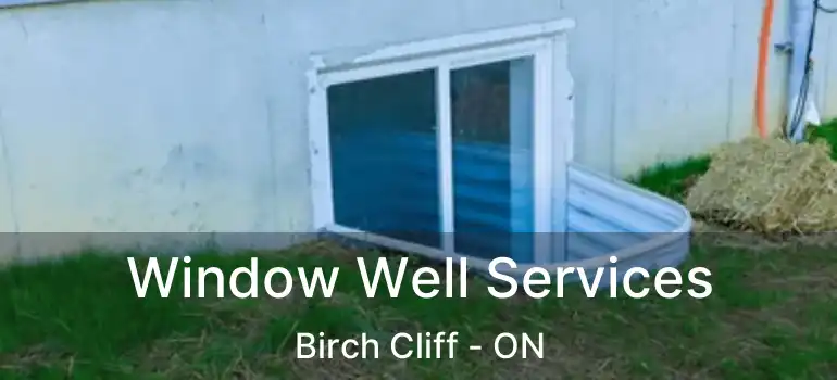  Window Well Services Birch Cliff - ON