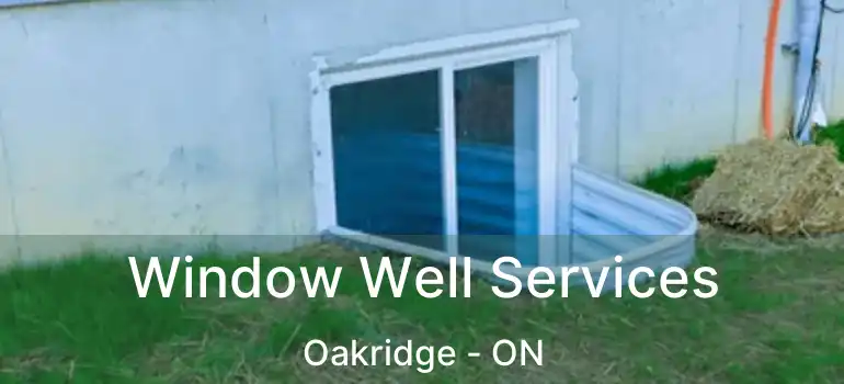  Window Well Services Oakridge - ON