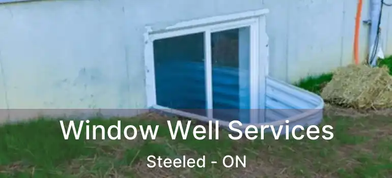  Window Well Services Steeled - ON