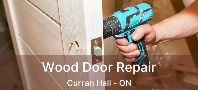  Wood Door Repair Curran Hall - ON