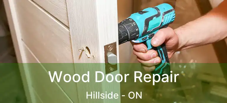  Wood Door Repair Hillside - ON