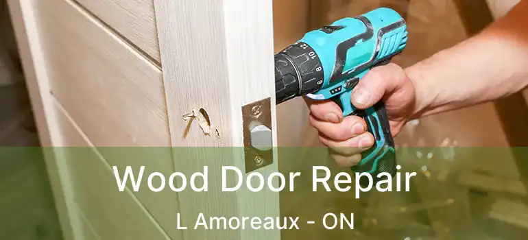  Wood Door Repair L Amoreaux - ON